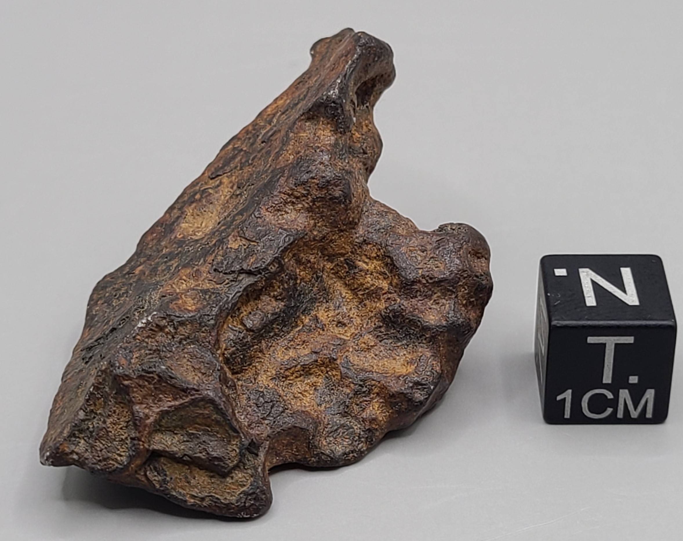 agoudal 铁陨石中历鉴定陨石已达9年之久,通过网络科普陨石知识已有6