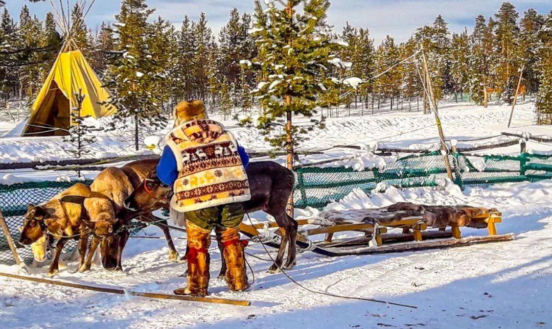 看着他们一圈又一圈的在体验驯鹿车,有时还非要几个人一起乘坐一辆