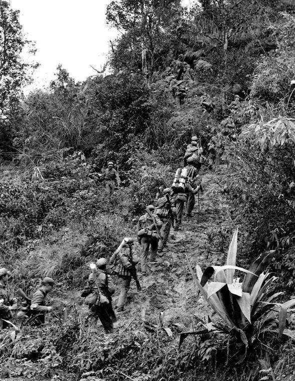 越南高平战役图片