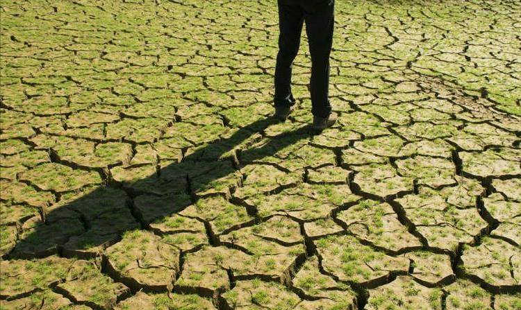 河南一水库曾放水赈灾,水位下降露河床,24条龙形兽得以重见天日