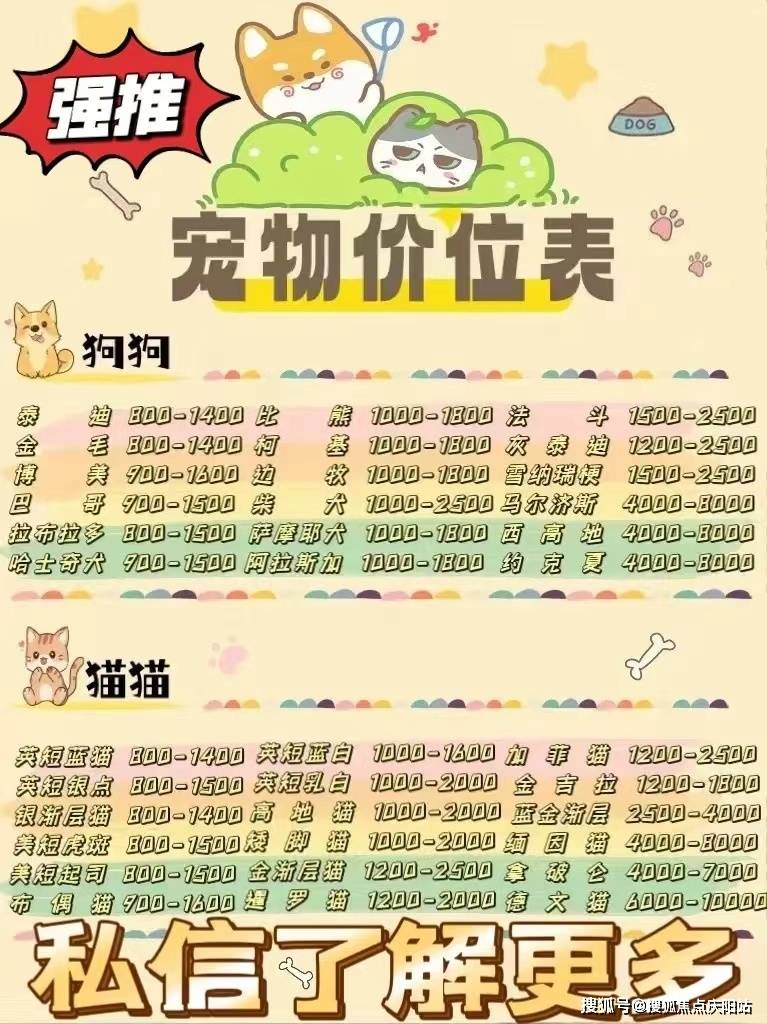许多宠物爱好者都梦想着拥有一只既便宜又好看的柯基犬