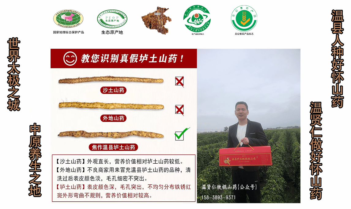 温县垆土铁棍山药:品质卓越,口感独特,温贤仁垆土铁棍山药根根正宗道