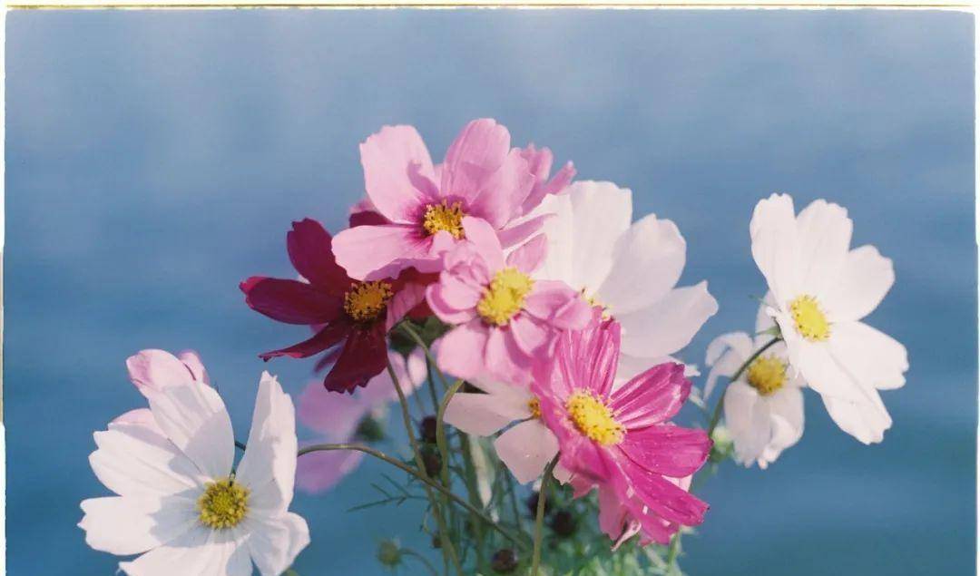 男人主动"索取",不是在算计你,而是爱之入骨了_女人_因为_安全感