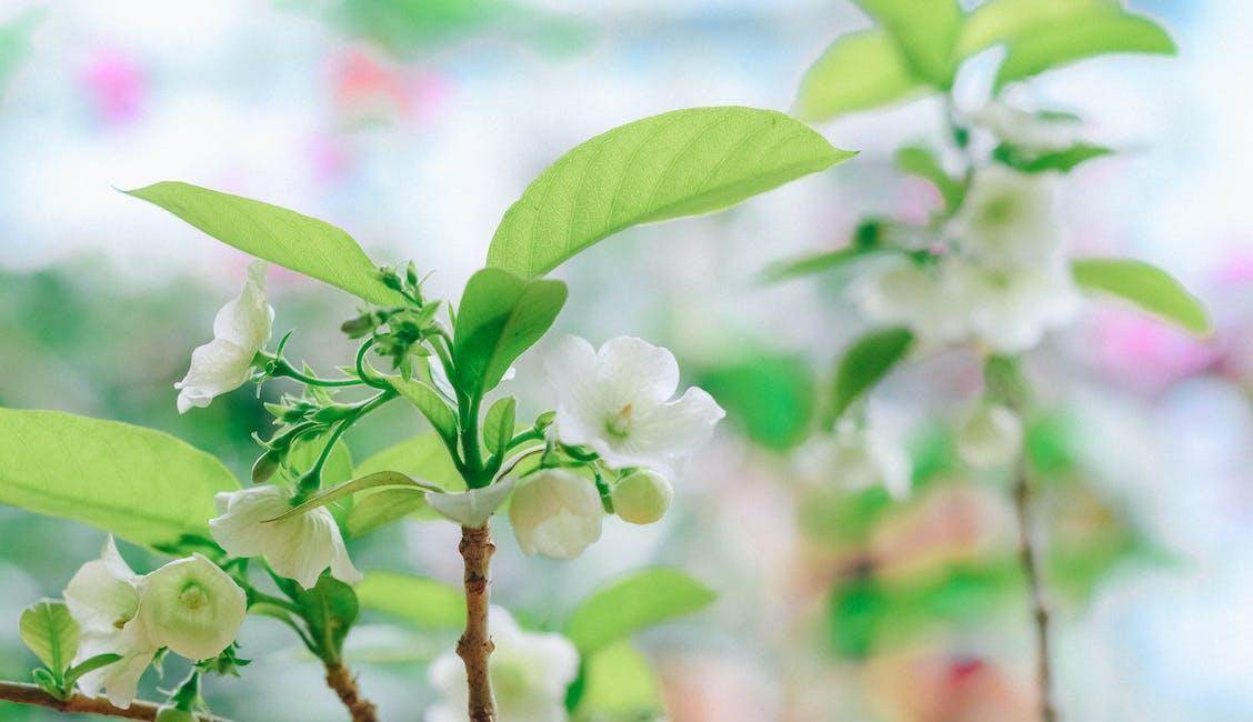 男人眼中廉价的女人,是这三种,希望你不是