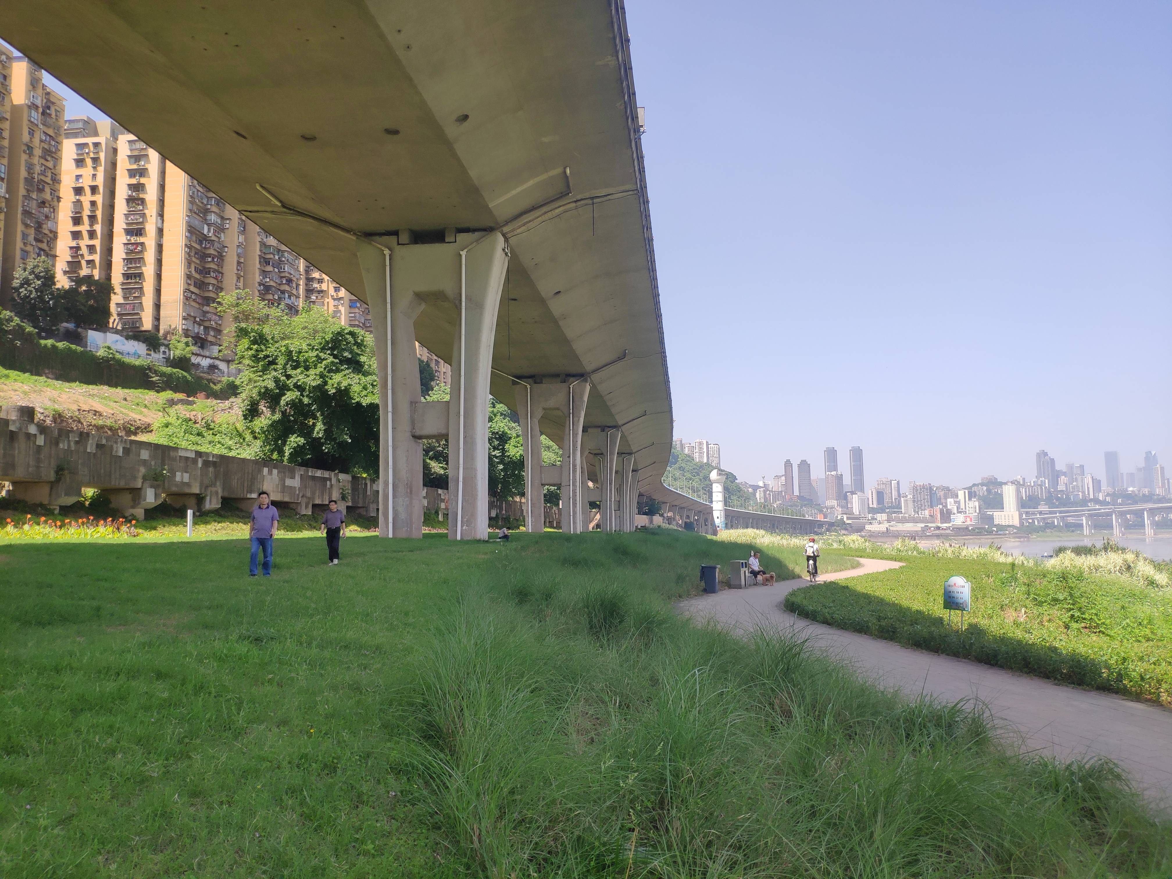 市民在草坪上骑着自行车位于重庆市九龙坡区九龙外滩,长江消落带长出