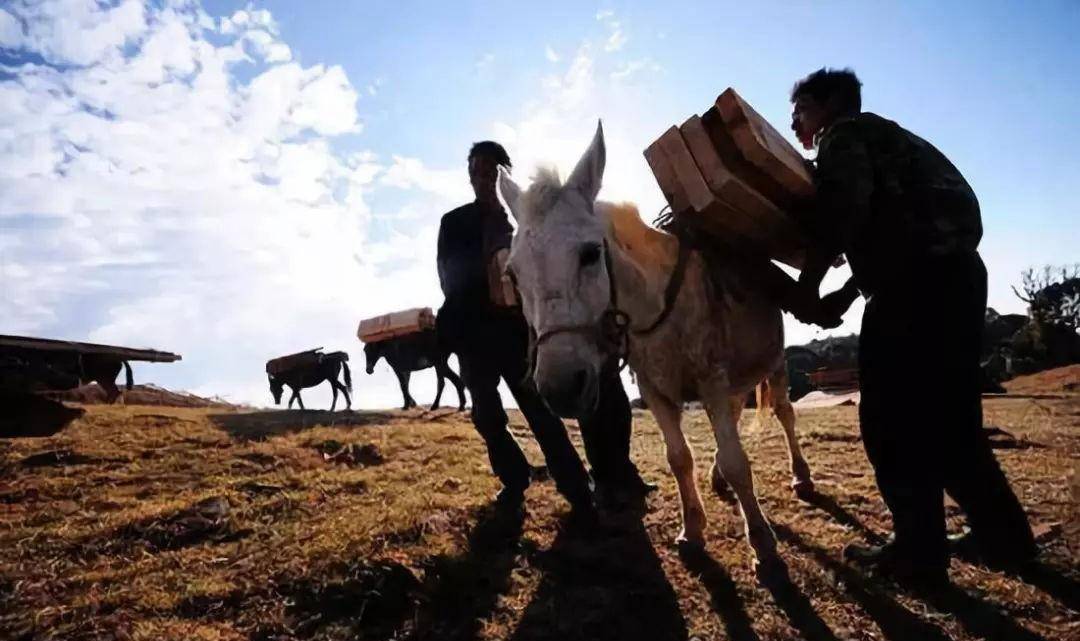 交通工具的历史源远流长,不同国家不同时期的交通工具是什么样子