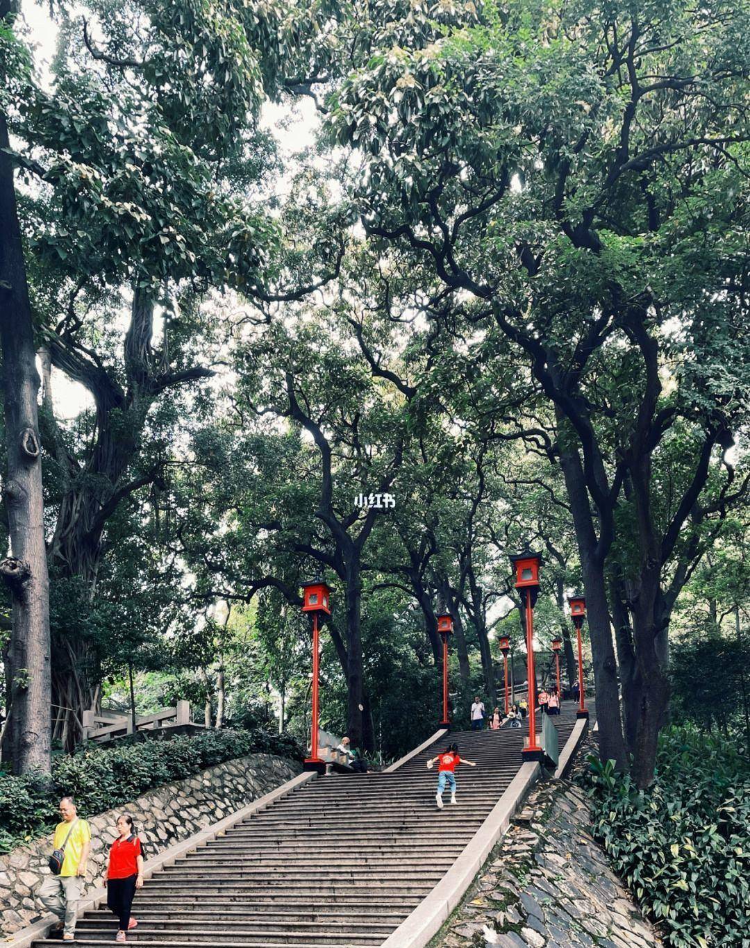 照片上的人是从一处依山而建的梯级上往下走,场景应该是一处"百步梯"