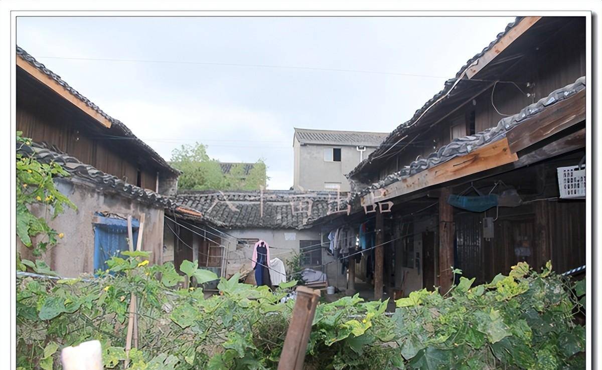 "仲草走天下,一席创世界"-仲一村(宁波市海曙区古林镇)