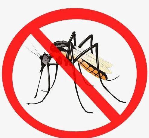 人大代表提议全面消灭蚊子,大家觉得可行性有多高?