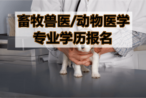 贵州省安顺职业技术学院畜牧兽医成人大专报名流程公布