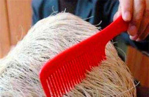 他1.8万买"白发魔石",半年后发现长了2厘米,史学家:它是活的