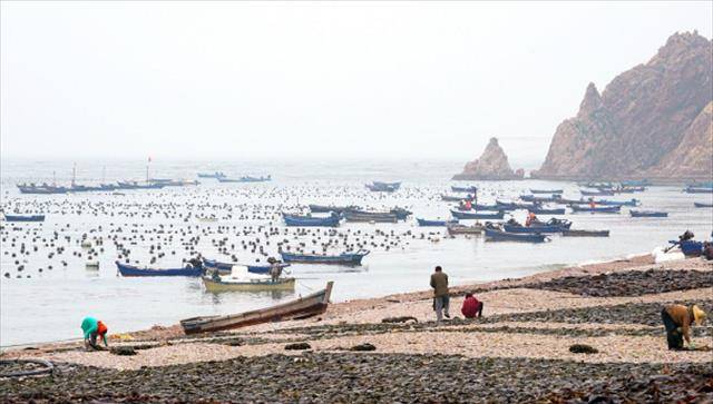 山东蓬莱一黑社会覆灭:长期霸占海域,渔民缴费插旗才能下海捕捞