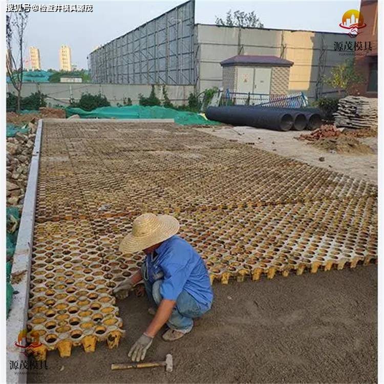 水泥植草地坪模具 源茂塑料植草砖模具