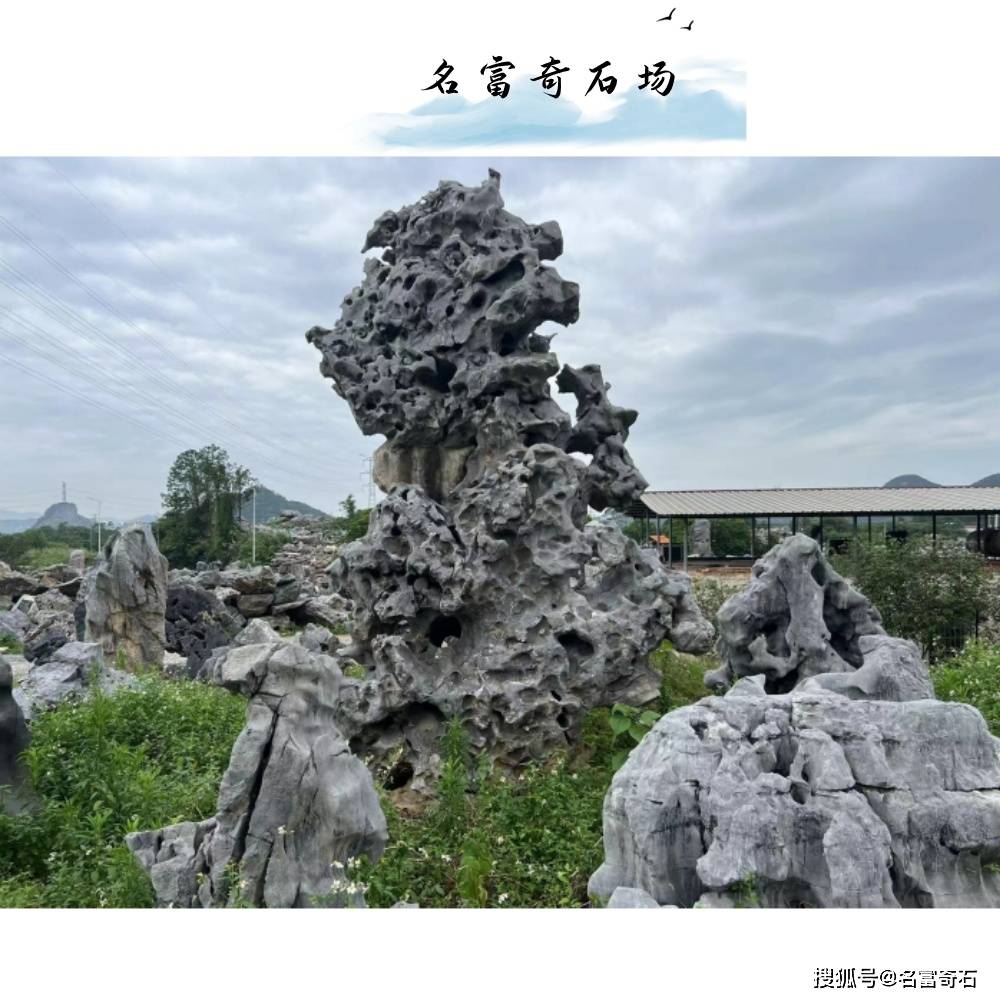 名富奇石场,黑太湖石市场报价,黑太湖石厂家现货.