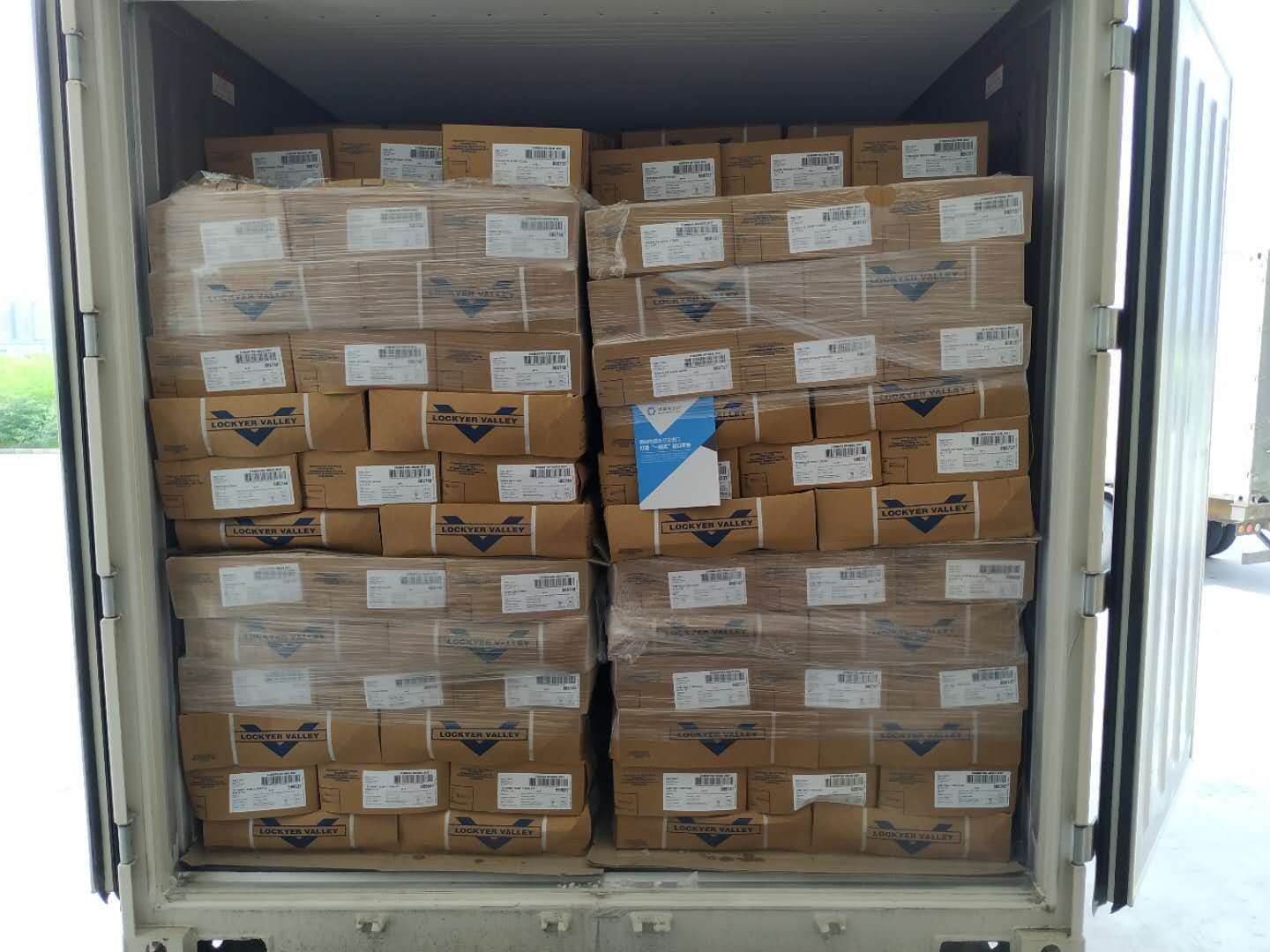 青岛港多格进口报关实战手册:揭秘清关技巧,进口更轻松_货物_文件