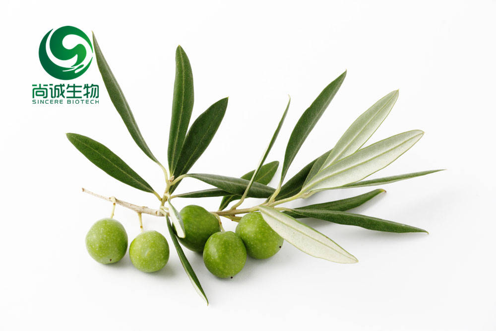 橄榄叶提取物 羟基酪醇