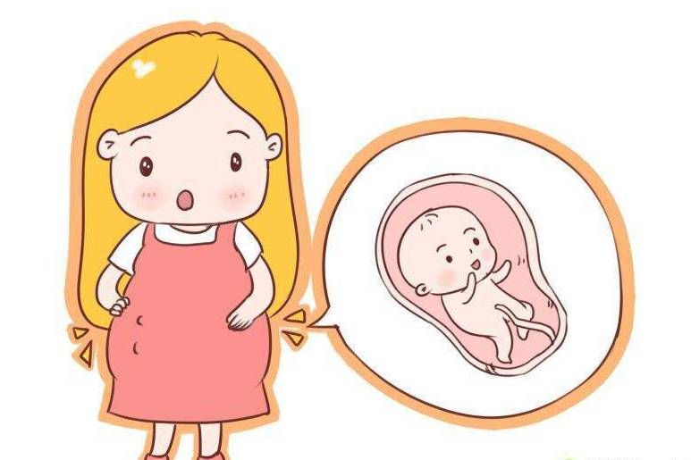 红木坊朱秀英医生:小心，有几种情况很容易导致孕早期流产_宝宝_子宫_女性