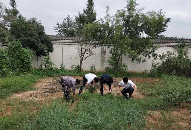 狂捐20亿,以高调做慈善示人的陈光标,如今跑去老家帮父母务农?