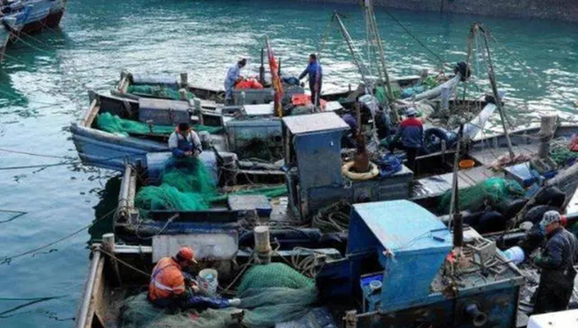 "结果如何_海域_捕捞_渔船