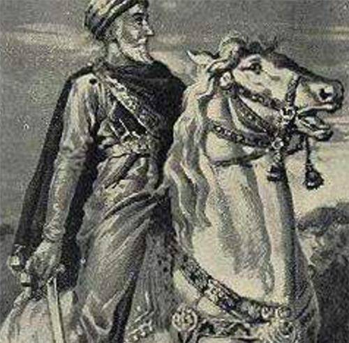 组织,向西方收保护费无人反抗,结果被我国灭了_阿萨辛派_哈桑_刺客