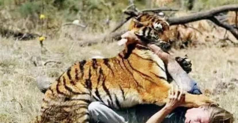 这位"老虎咬死游客事件"幸存者,至今没工作,最大的心愿是整容