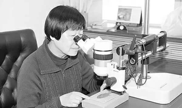 这个中国女人颠覆了西方,为中国夺得世界级大奖!