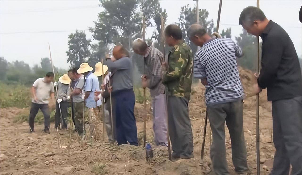 2012年,从北京一座破朔迷离的大墓里,发掘出一个弑父杀兄的故事