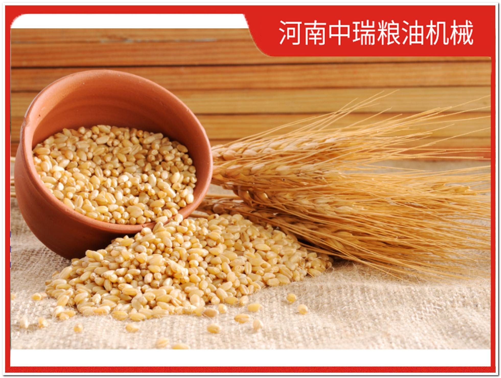 100吨棉花籽榨油机报价多少钱一台?