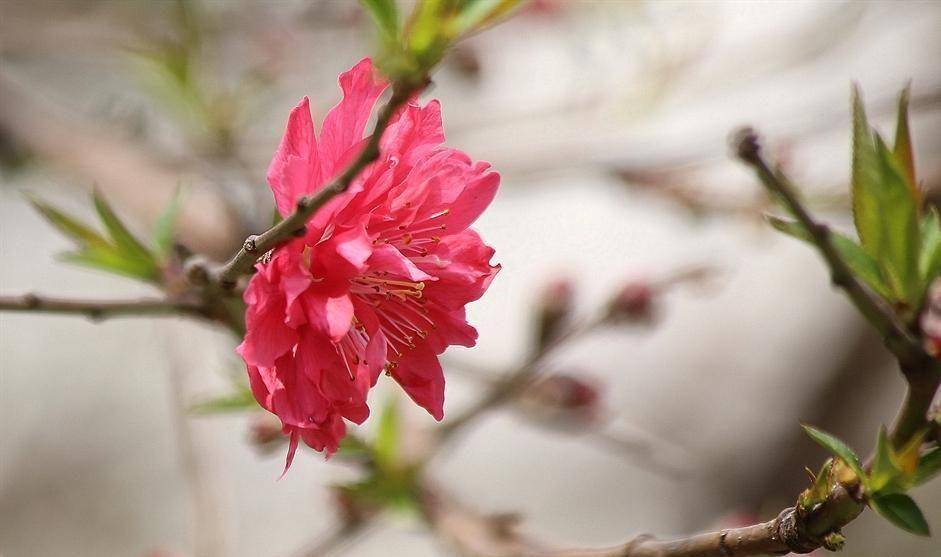 人品越差的人,越喜欢用这4种微信头像