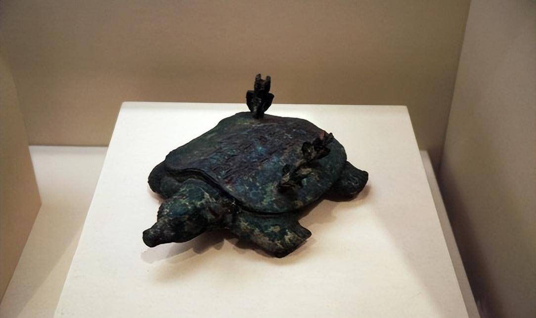 2003年河南老农钓到一只"乌龟",背上插4支箭,估值超过18亿