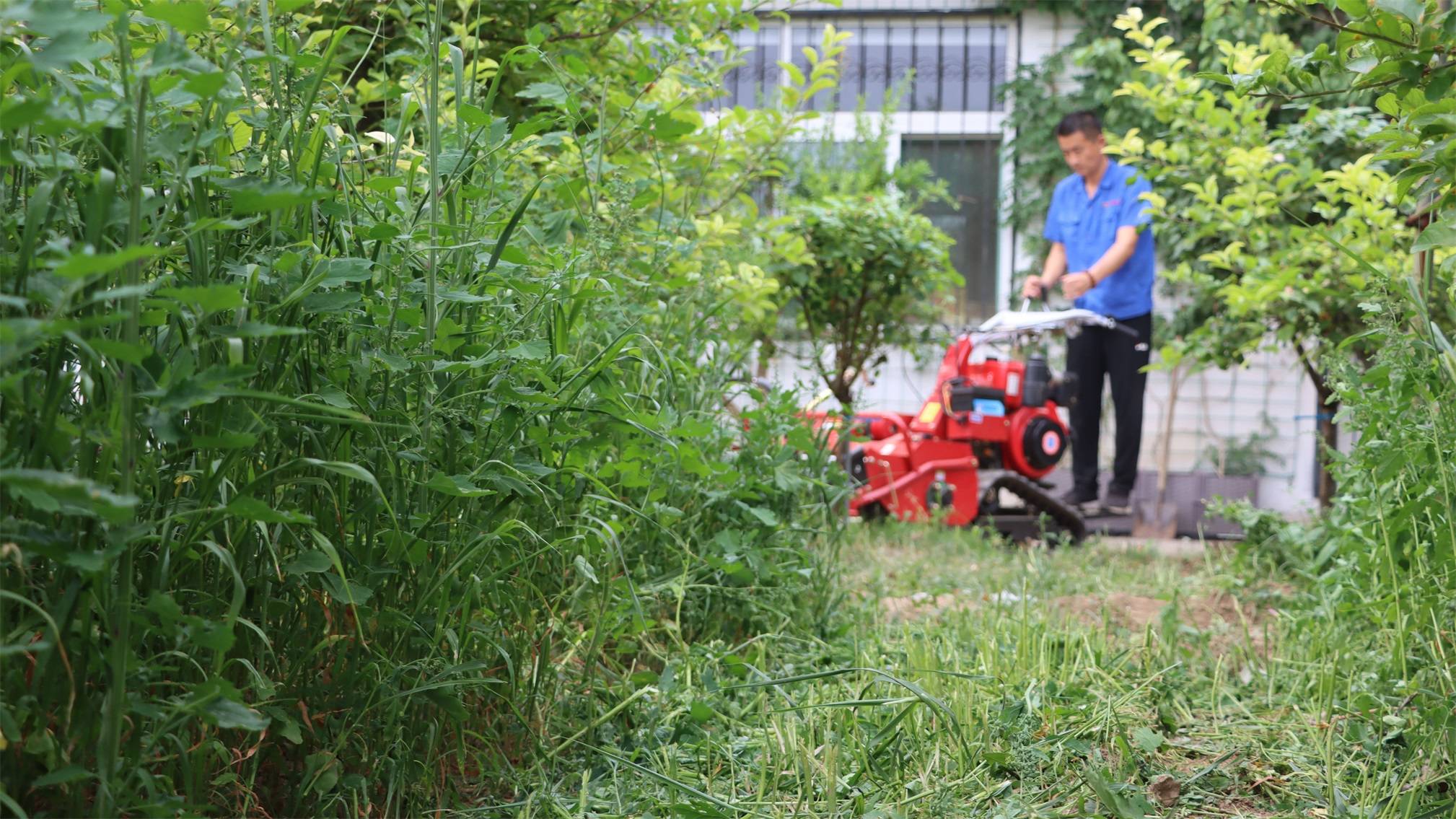 履带式果园山地丘陵留茬除草机在使用过程中如何保养维护