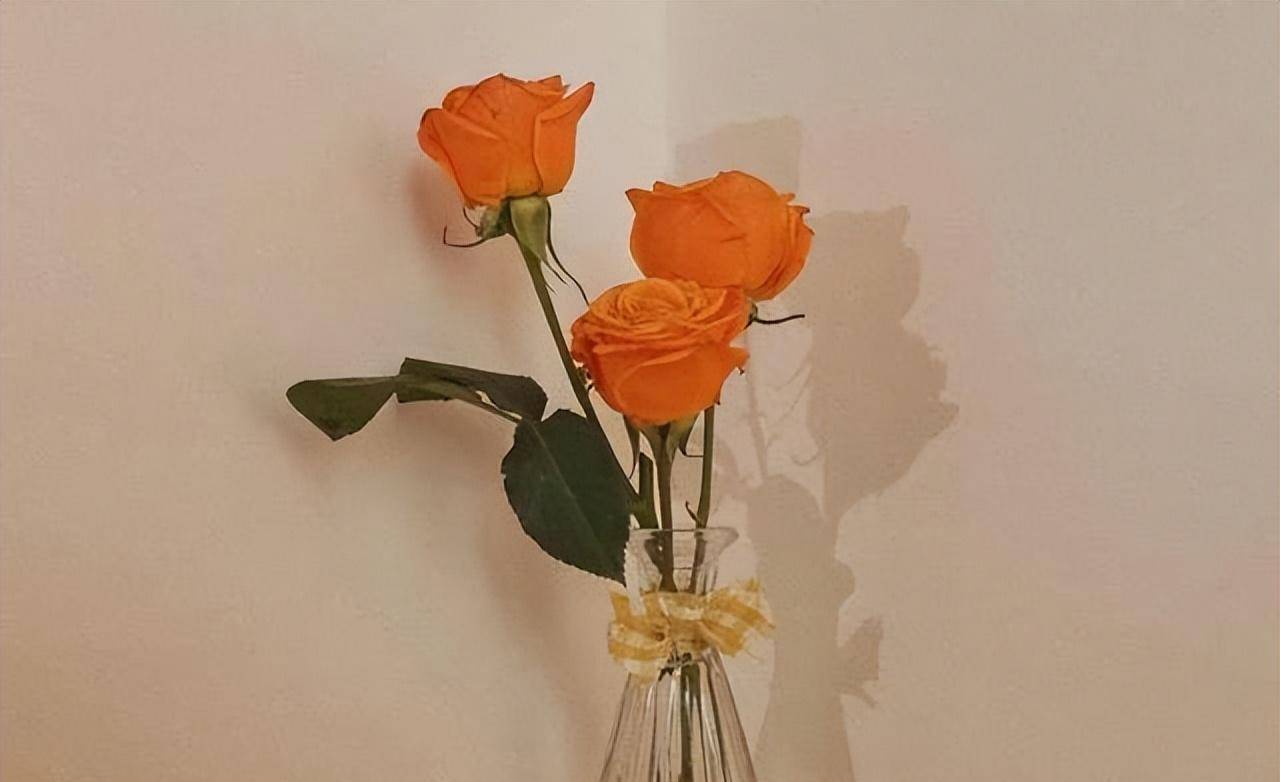 一个人有钱了,却不愿意拉兄弟姐妹一把,其实原因很现实