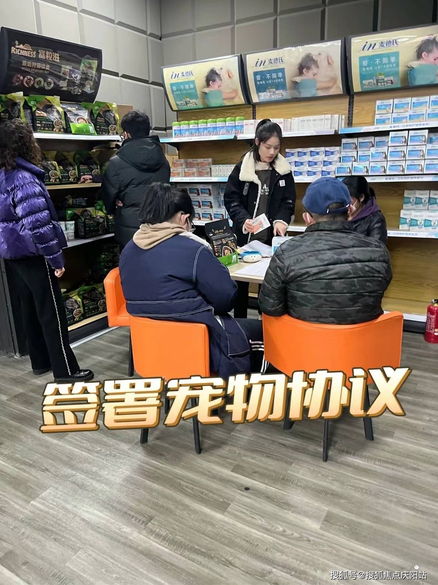 广州买边牧犬首页网站(广州天河区)边牧犬多少钱一只