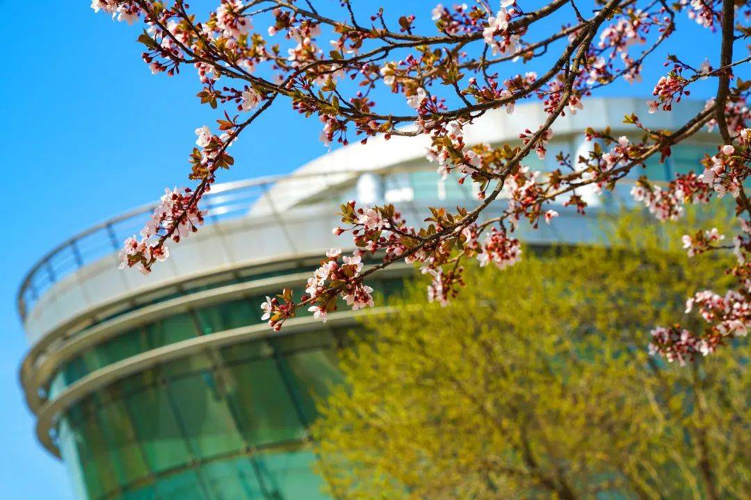 【北京国家会计学院】---数据资产