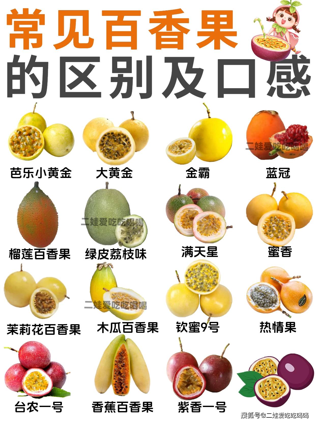 【百香果说明书】15种常见百香果的区别及口感