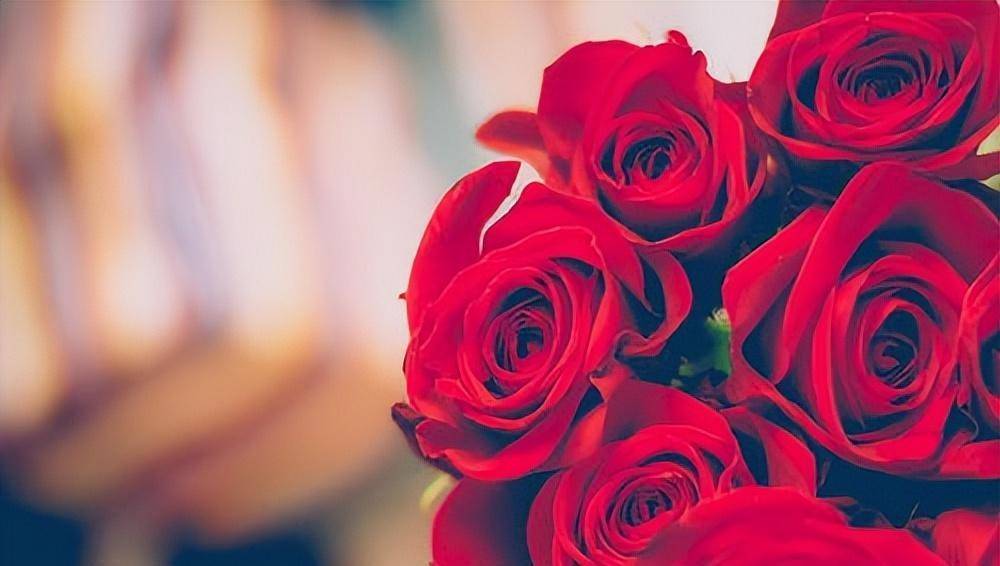 壁纸 花 花束 鲜花 桌面 1000_566