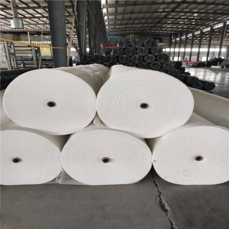 自粘式聚酯玻纤布 土工布生产厂家