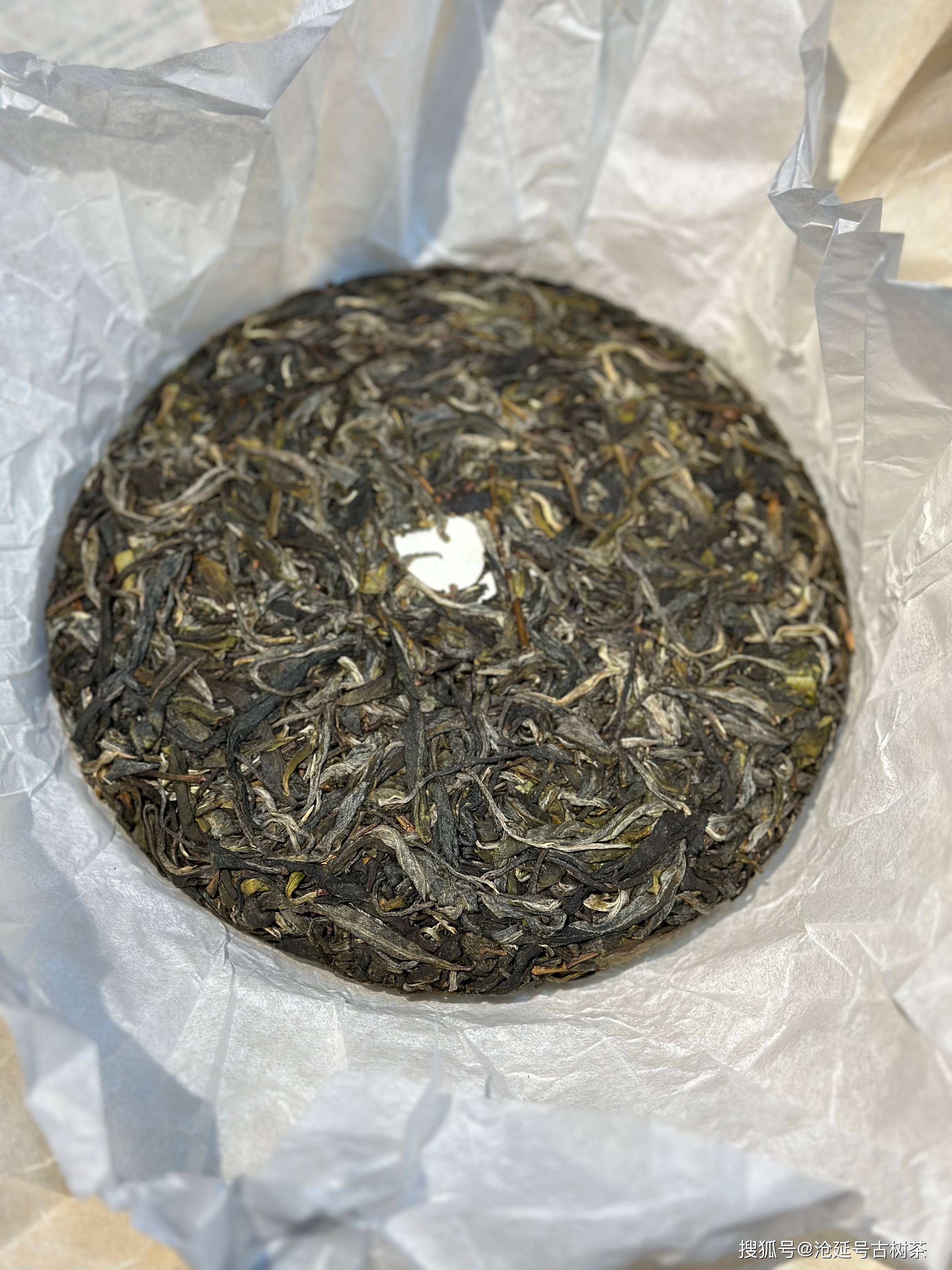 沧延号2024临沧梅子箐单株纯料生茶