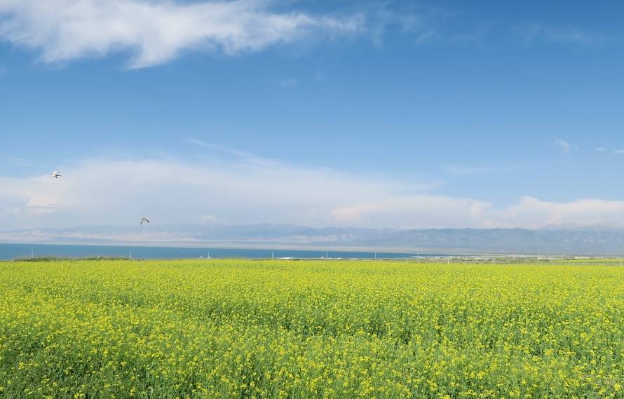 到青海旅游自助游景点攻略,青海避坑线路,强烈推荐