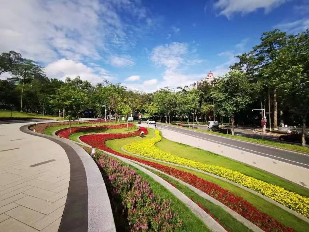 A股上涨个股不足500只，中国股市为什么涨不起来？_搜狐网