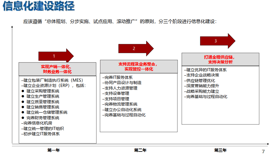 集团erp信息化总体规划项目建议_报告_建设_系统