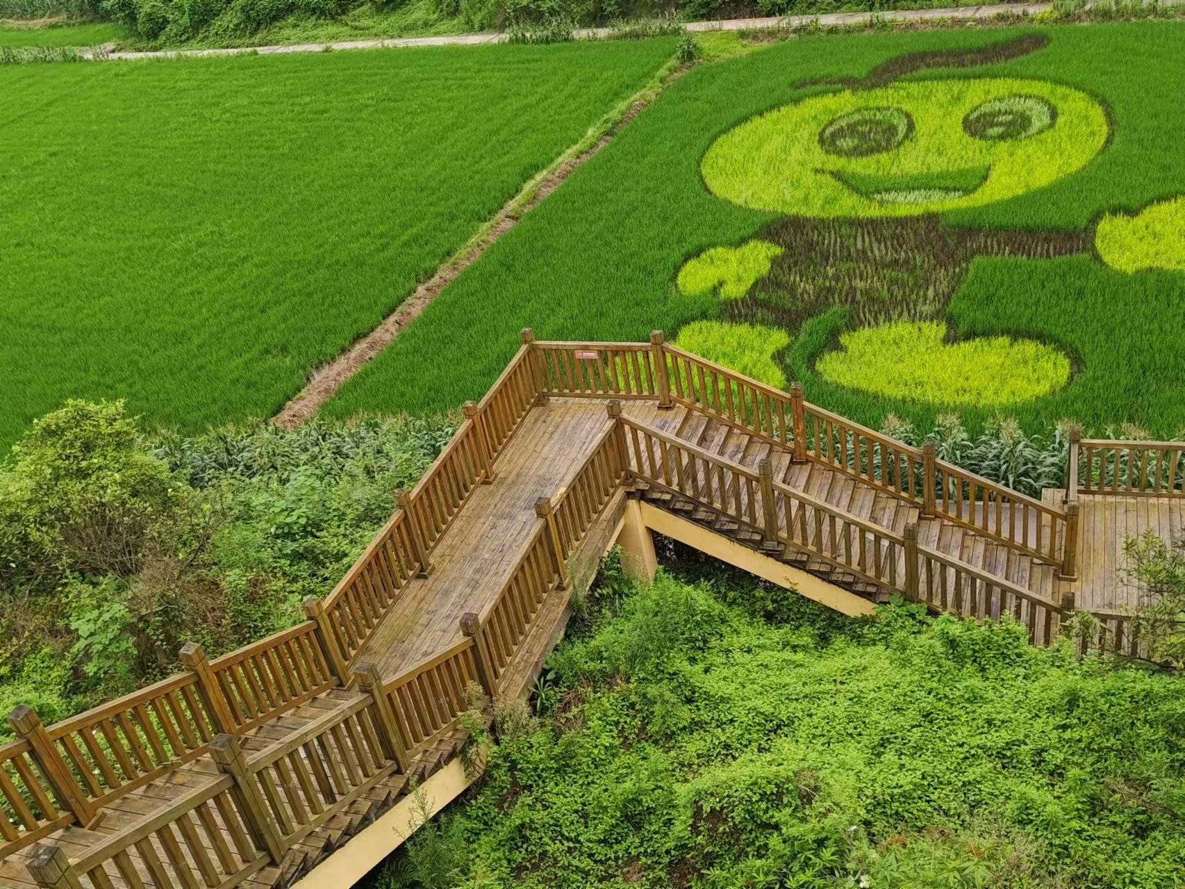 数智赋能中华文化传承团忠县行——科技赋能乡村,共绘振兴新蓝图