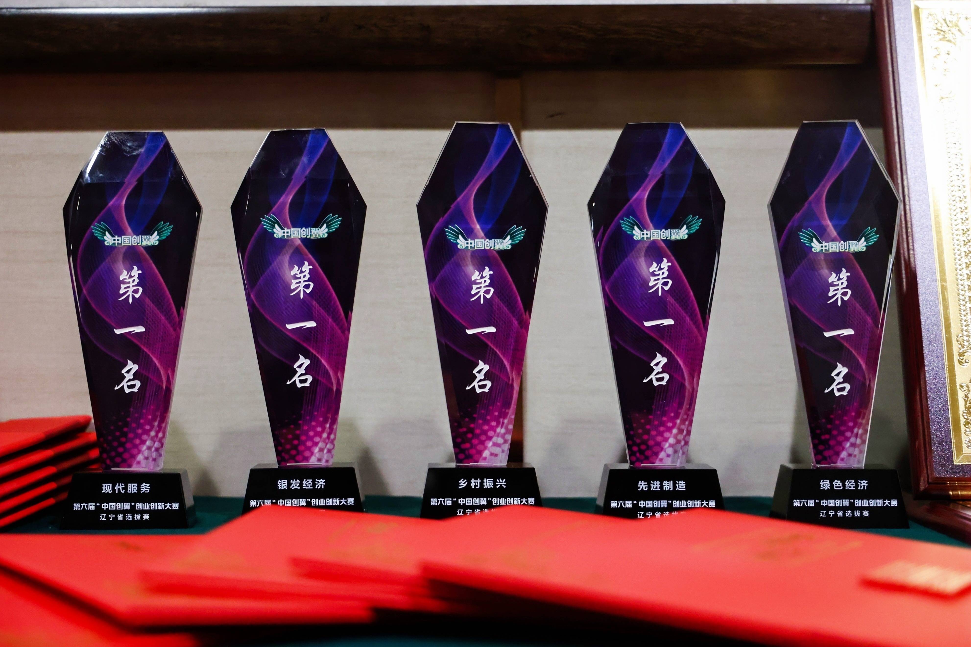 多屏5sg功能玻璃项目勇夺"中国创翼"辽宁桂冠!