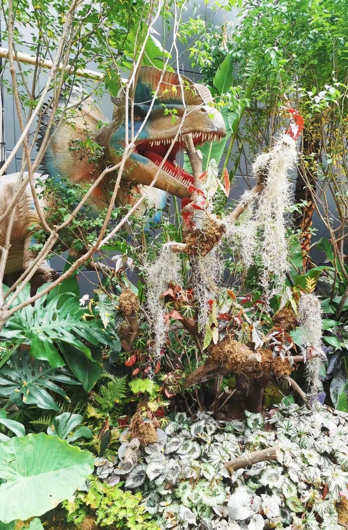 上海热带恐龙展 专业布景恐龙模型