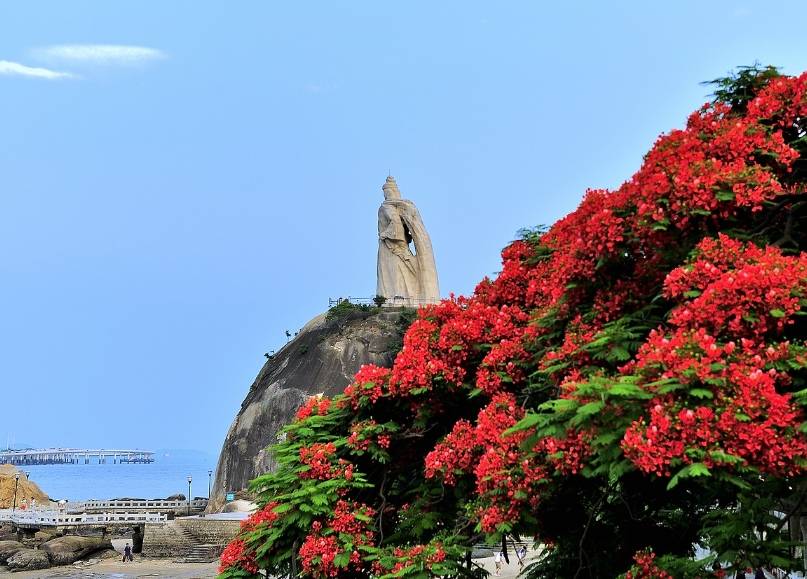 7月厦门旅游自由行景点攻略,新手旅行的必看攻略_海岛_鼓浪屿_魅力