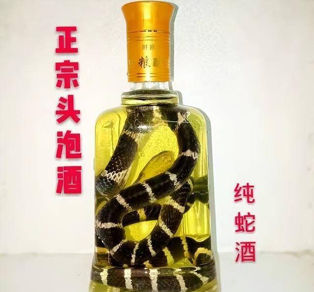 蛇酒变"毒酒?男子挖出30年前埋的蛇酒,刚喝完身体就发生反应