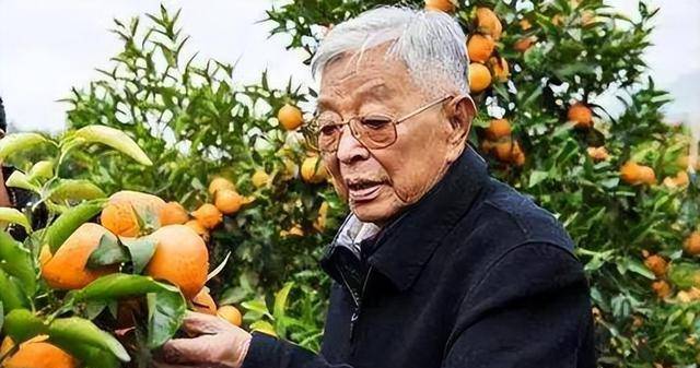 烟草大王褚时健:为国创造千亿利税,死后建造百万豪华墓地