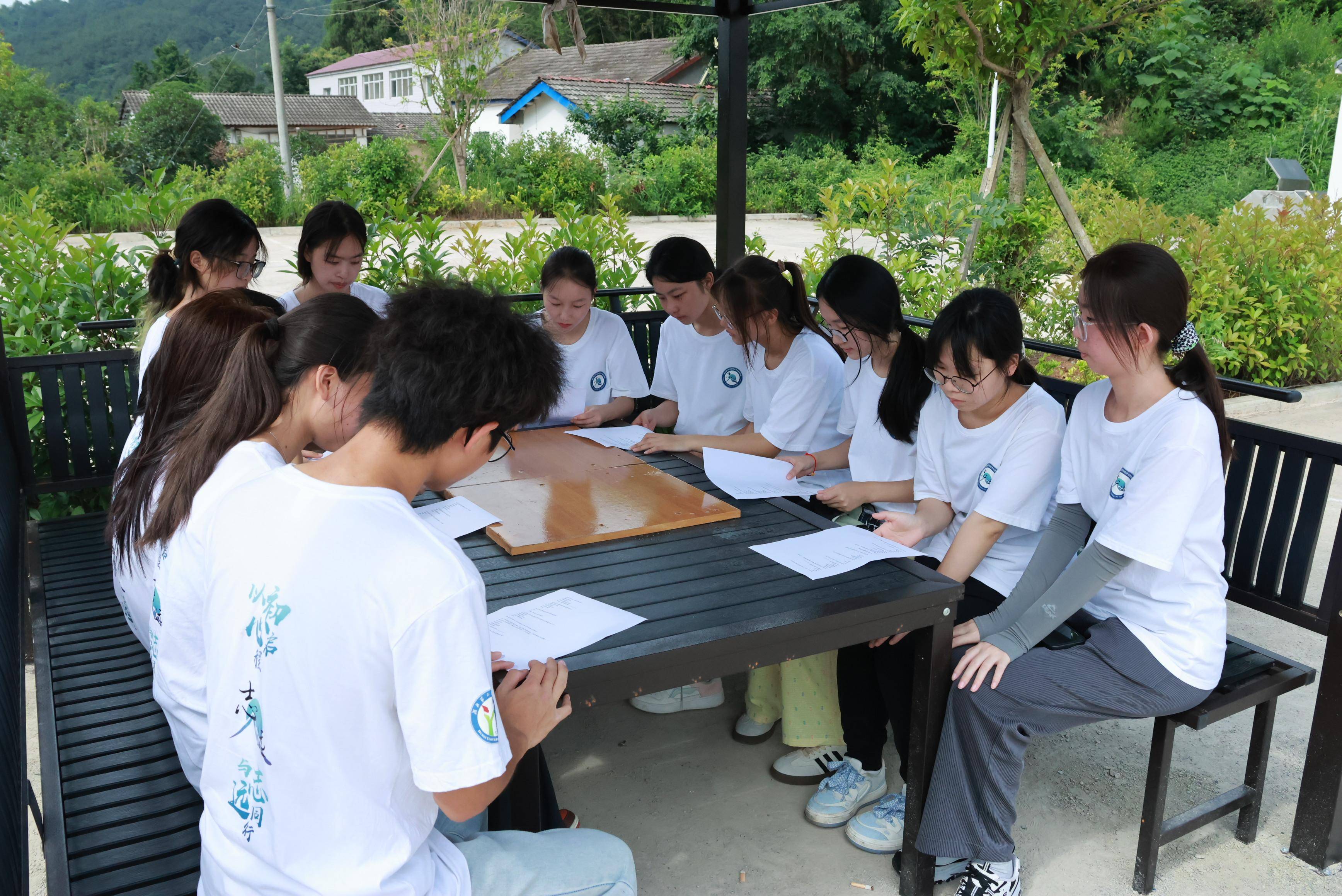 湖北学子三下乡:柿子产业铺就振兴路,乡村发展绽放新希望