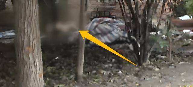 武汉"站街女裸尸案":女子深夜拉客失踪,监控还原真相_赵勇_吴霞_树林