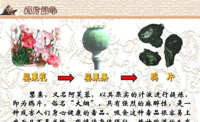 道光禁烟运动,中国人的正义之举,直到民国还被国联纪念_鸦片_英国